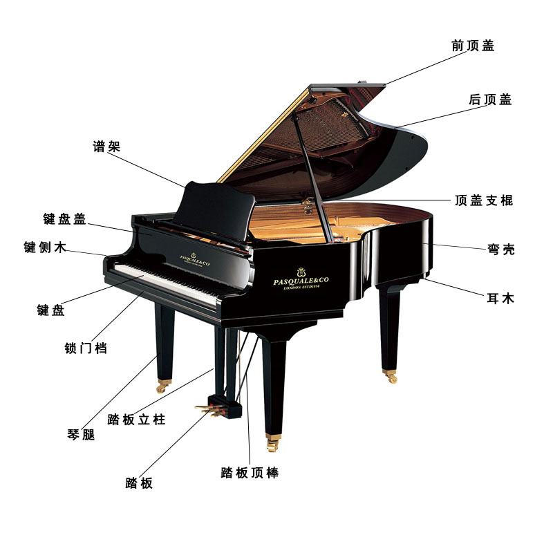 钢琴内部结构清晰图图片